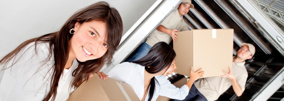 Professional Removalists Willoughby SA